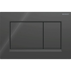 Geberit Sigma20 Клавиша для двойного смыва, квадратная: черные, декор. полоски: черный матовый (бывшая Sigma30)